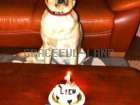 Happy Birthday♪伊澤リアンちゃん